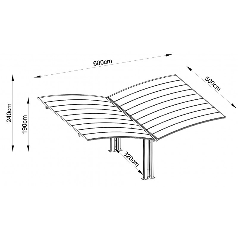 kit-de-montage-carport-eagle-en-y-2.jpg