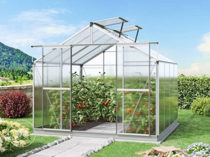 GFP Serre de jardin Orchidee 4 structure en aluminium 256 x 256 cm panneaux en polycarbonate - avec cadre de fondation et ouvre-fenêtre automatique