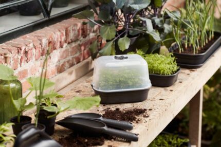 ELHO l.23.8 x P.16.8