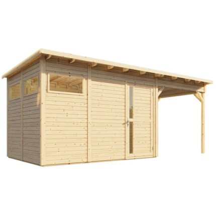 Abri de jardin bois BERTILO Pent3 + Ep.19 mm, 13.06 m²